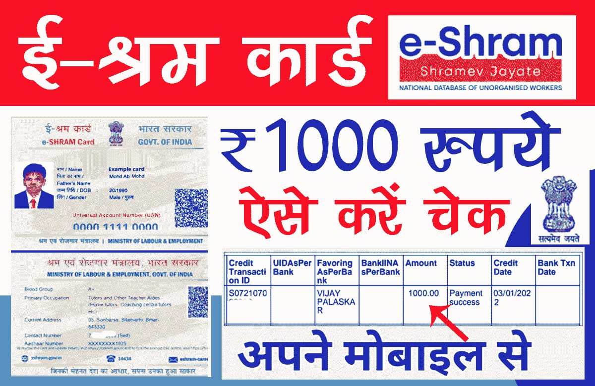 E Shram ई-श्रम कार्ड 1000 रुपया, ऐसे देखे मिला
