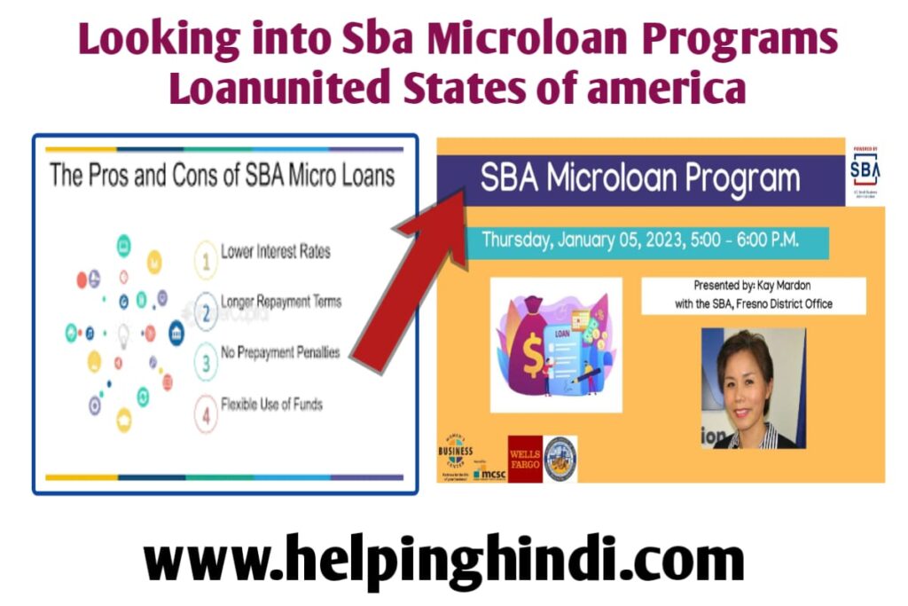 Looking into Sba Microloan Programs Loanunited States of america