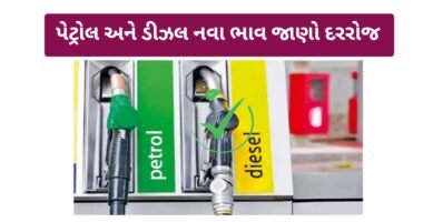Daily Update Petrol Diesel Price