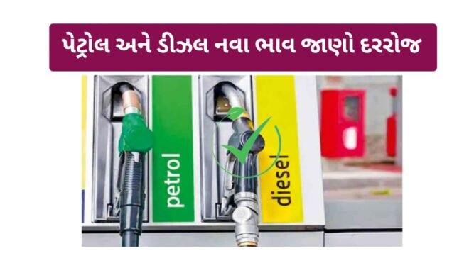 Daily Update Petrol Diesel Price